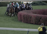 _DS-C0077 - BC Filly & Mare Turf.jpg