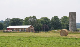 IMG_7427_The new pig barn