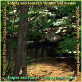 Scapes and Scenes