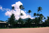 CRW_6854.JPG