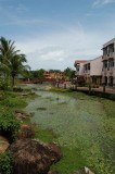 DSC_0442.JPG