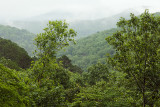 Roaring River in the Rain