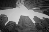 42nd Street Fishline