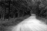 Country Road, Rainy Day