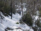 Heading back to Harrietville