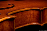 Violin 8