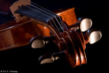 Violin 7