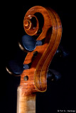 Violin 3