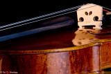 Violin 6