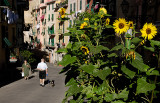 Riomaggiore