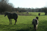 Presque tous l_1220r.jpg