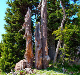 DSCF9712.JPG