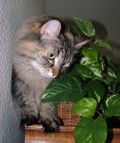 DSCF9574.JPG
