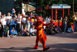 DSC_0019.jpg