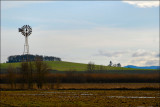 DSC_0124.jpg