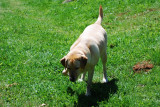 DSC_0009.JPG