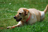 DSC_0014.JPG