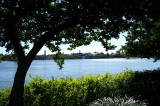 PICT0152.JPG