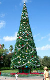 PICT0014.JPG
