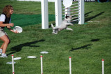 DSC_0193.JPG