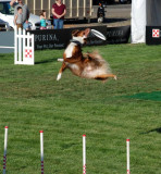 DSC_0212.JPG