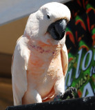 DSC_0063.JPG