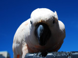 DSC_0065.JPG