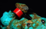 Turquoise Frog - Bead Detail