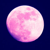 Red moon