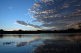 Sunset on the Montrose Curlie