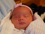 Karleigh at one day old.