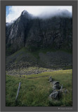 mist covered mountain