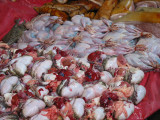 Fresh Frog Intestines on Sale at Nathaburi Market
