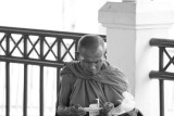 Monk at the Ferry Terminal