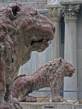 Lion sculpture on the Piazzetta dei Leoncini .. 2702