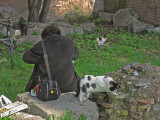 On the Monte Palatine, Gattare feeding her cats. .. 3514