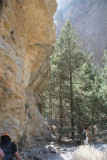 Samaria  gorge