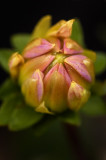 7/1/07