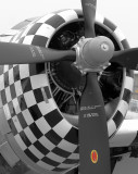 MG_4581-Edit.jpg