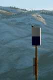 pylon_judge.jpg