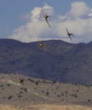 unlimited heat2-7790.jpg
