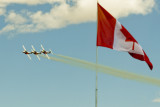 snowbirds1-8102.jpg