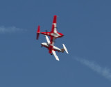snowbirds-7746.jpg