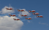 snowbirds-7770.jpg