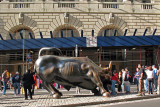 IMG_0791 The Bull.jpg