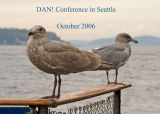 z_MG_3289 Gulls on Seattle pier - DAN conference text.jpg
