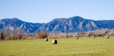 zCRW_2253 Farmland east of Boulder - to Flat Irons.jpg