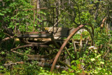 zP1000854 The Old Buggy at SanSuzEd campground.jpg