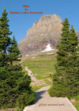 yP1010197 Hike from Logan Pass to Hidden Lake in Glacier National Park.jpg