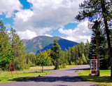 zP1010502 Driveway into SanSuzEd RV Park near West Glacier Montana.jpg